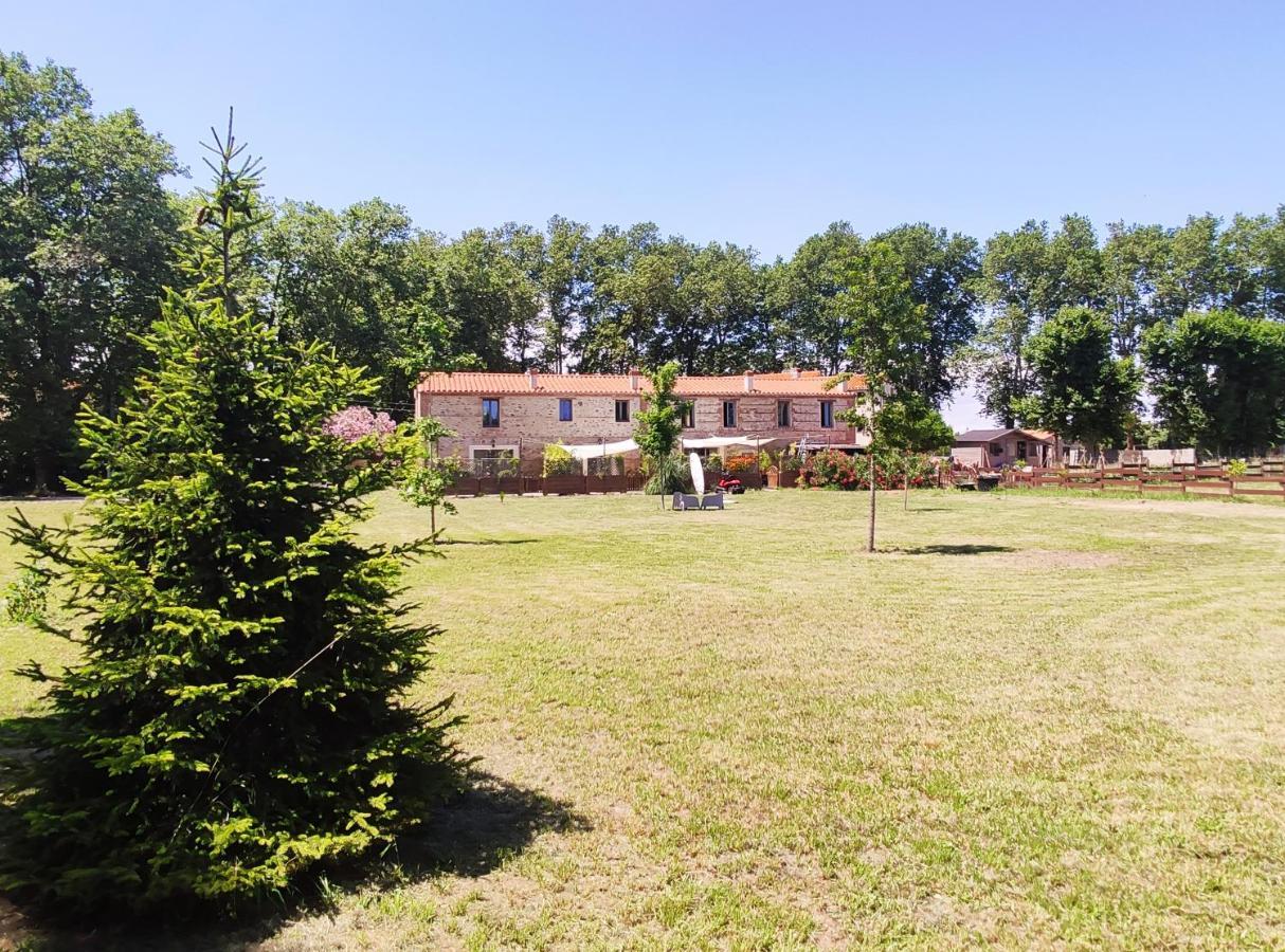 Apartment Du Mas Riols Saint-Cyprien (Pyrenees-Orientales)
